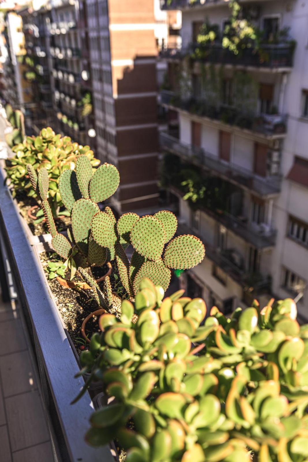 Centralflats 195 Private Apartments Bari Bagian luar foto